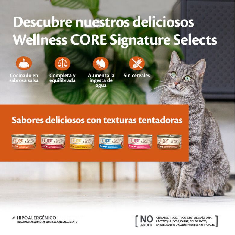 Wellness Core Flaked Salmón lata para gatos thumbnail