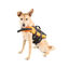 TK-Pet Pirineos Chaleco salvavidas naranja para perros, , large indicador imagen numero 4