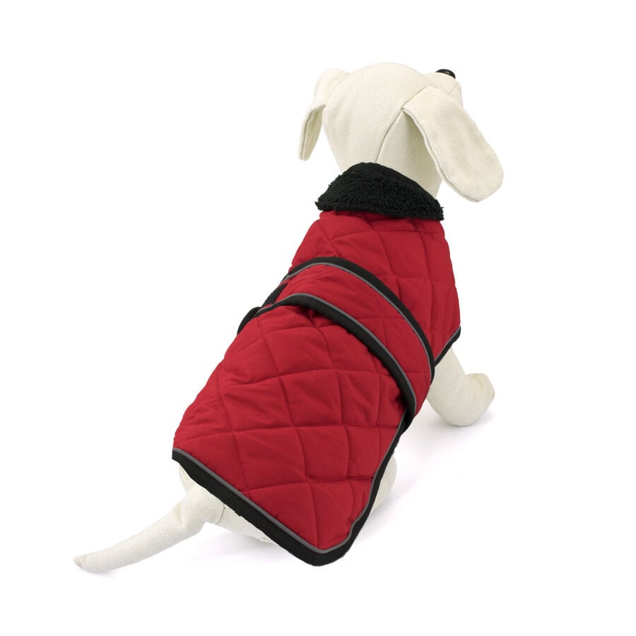 Outech Abrigo Rojo para perros Teckel thumbnail