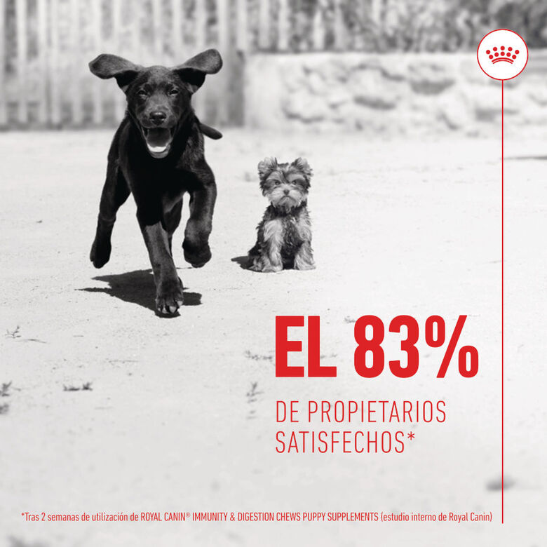 Royal Canin Immunity &amp; Digestion Chews Puppy Suplemento nutricional para perros thumbnail