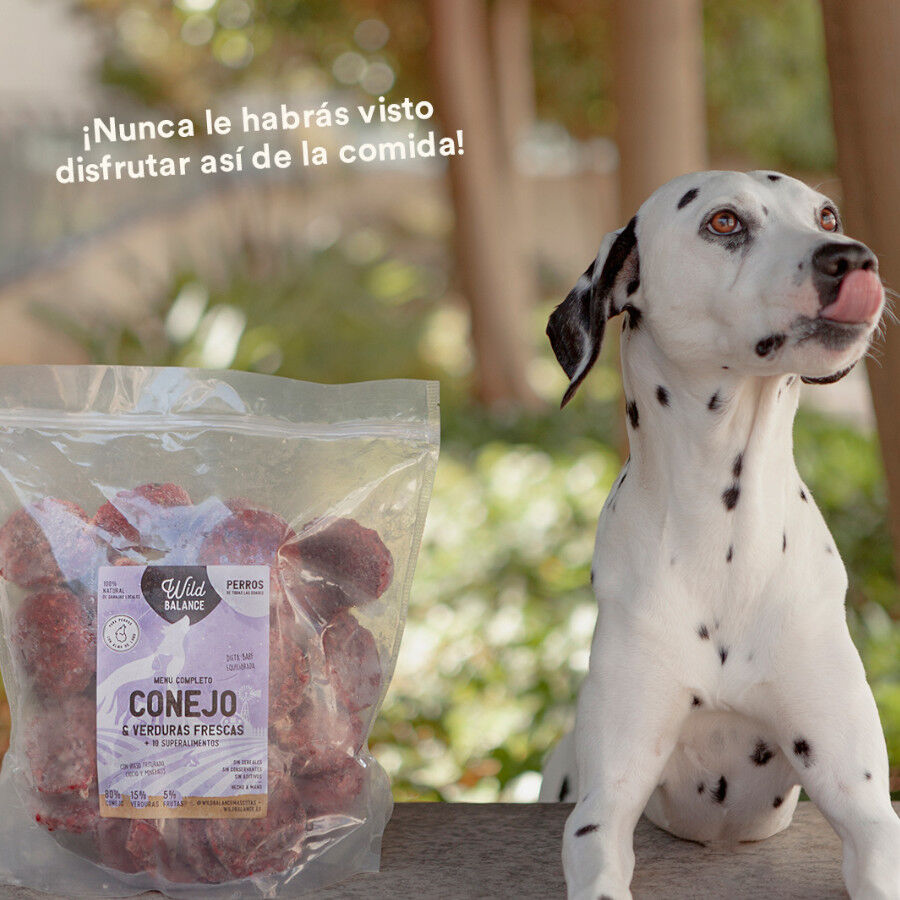 1 kg Wild Balance Men&uacute; Barf conejo con verduras comida congelada para perros, , large Imagen numero 8