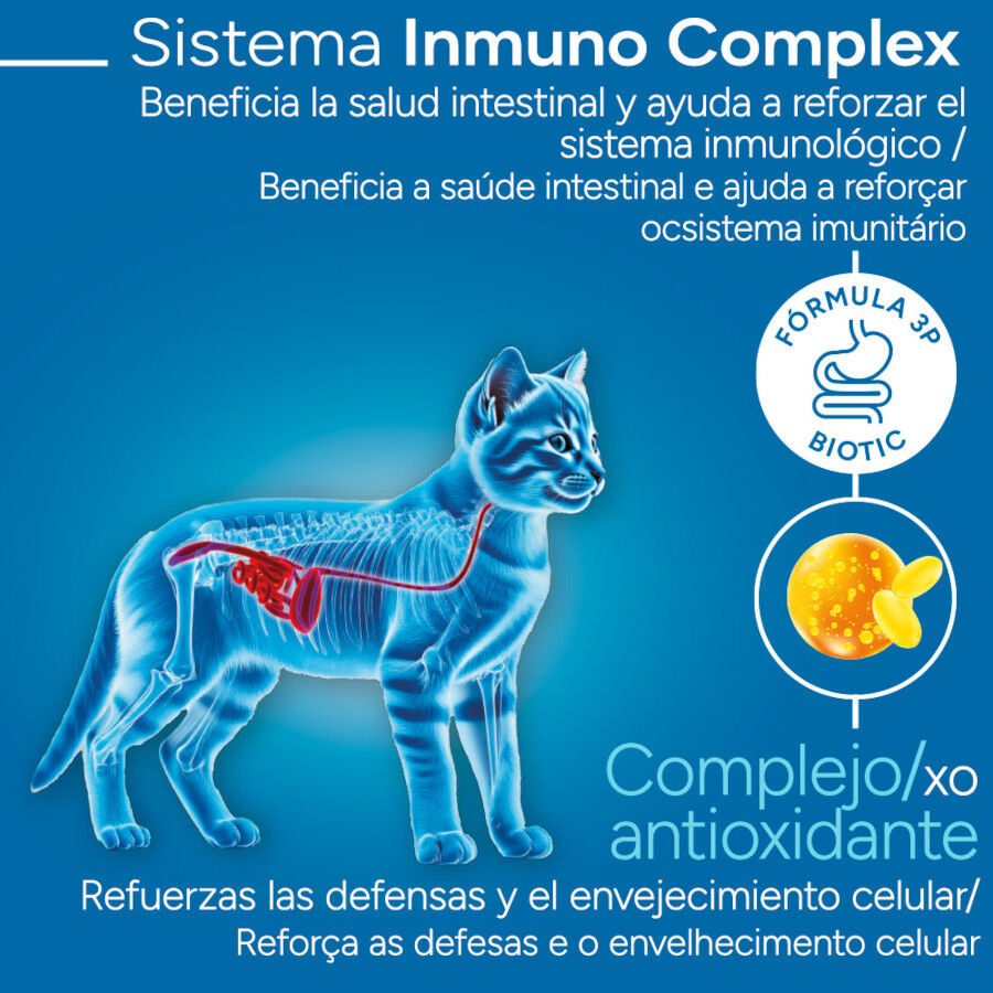 Criadores Científico Kitten pollo pienso para gatitos thumbnail