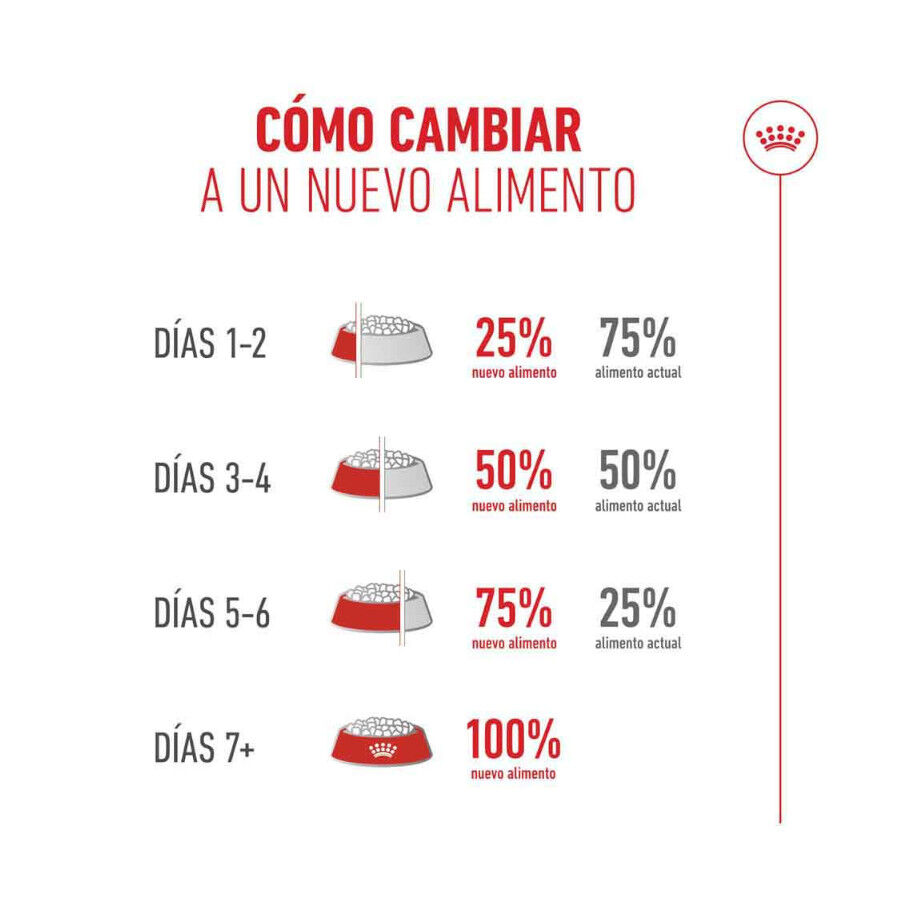 Royal Canin Ageing 11+ Sterilised pienso para gatos thumbnail