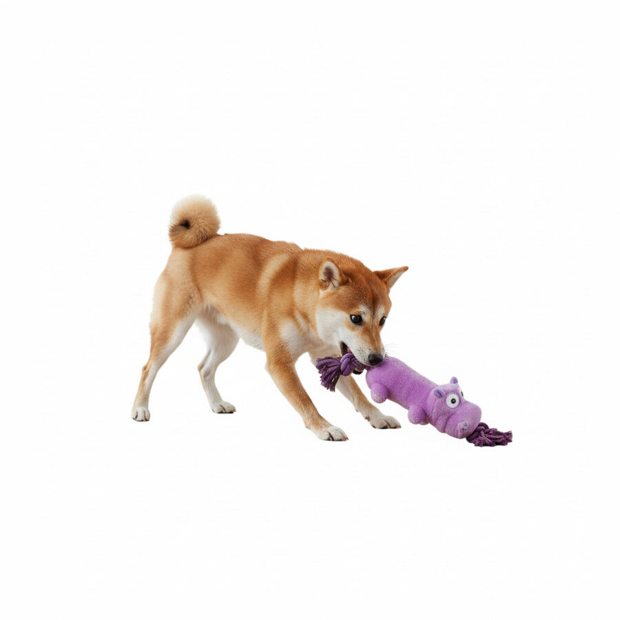 All For Paws Ultrasonic Juguete Hipop&oacute;tamo para perros, , large Imagen numero 3