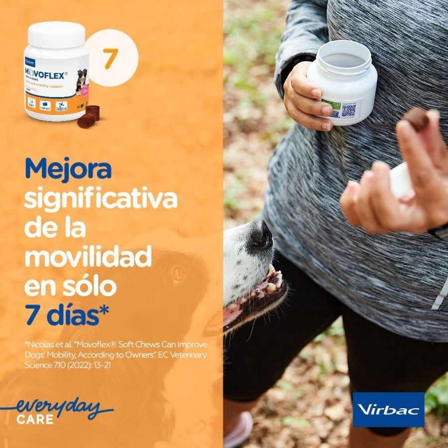 Virbac Movoflex Condroprotector para perros, , large Imagen numero 11