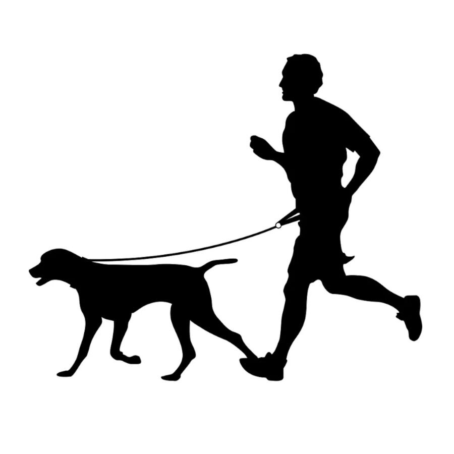 Flamingo Correa Canicross Amarillo Fluorescente para perros, , large Imagen numero 3