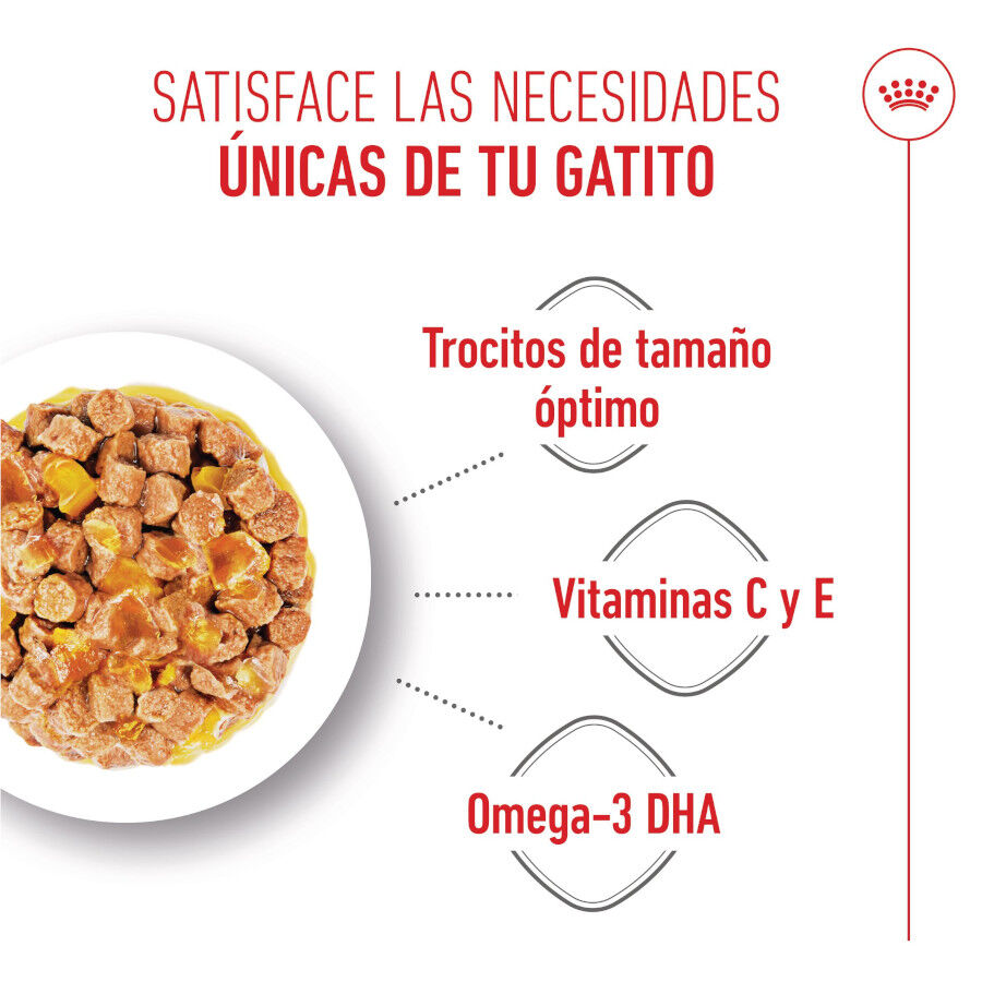 Royal Canin Kitten comida húmeda en gelatina sobre para gatitos thumbnail