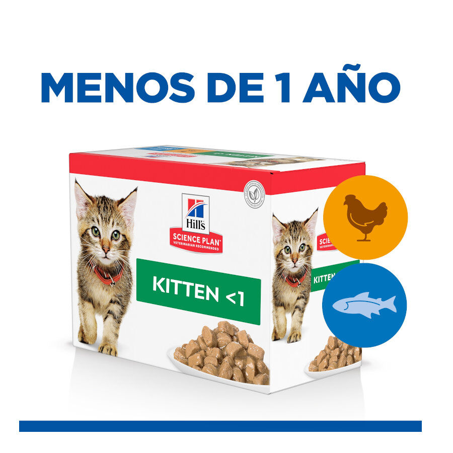 12 sobres x 85 g Hill's Science Plan Kitten Pollo y Pescado sobre para gatos , , large Imagen numero 2