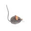 Outward Hound Catstages Squeaky Squeaky Gris Ratón de Juguete con Catnip para gatos, , large indicador imagen numero 1