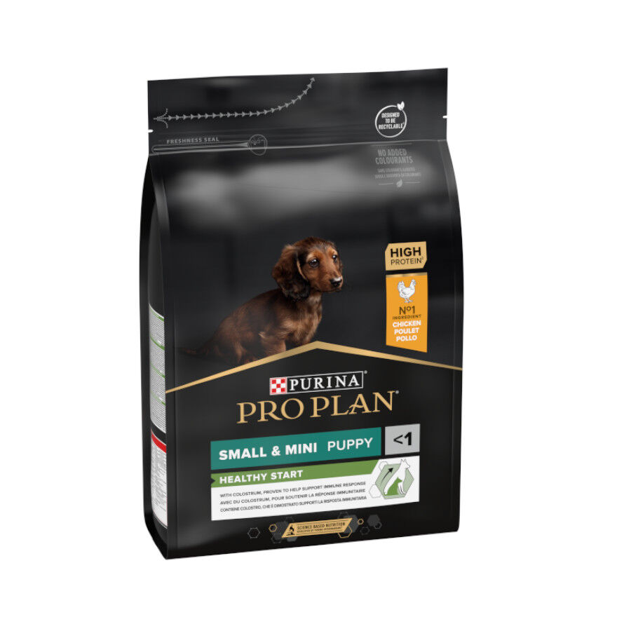 Pro Plan Puppy Small y Mini Pollo pienso para cachorros