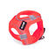 Gloria Air Mesh Trek Star Arnés Rosa para perros, , large indicador imagen numero 1