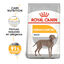 12 kg Royal Canin Dermacomfort Maxi pienso para perros, , large indicador imagen numero 2