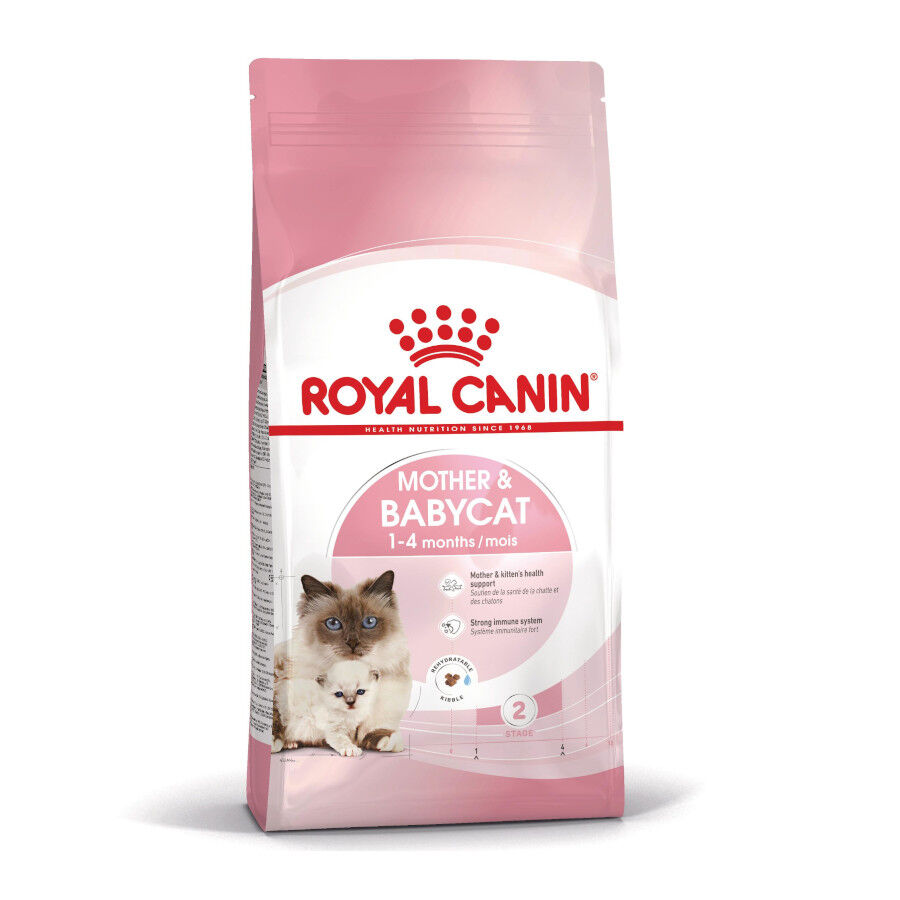 Royal Canin Mother & Babycat pienso para gatos