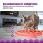 Outward Hound Catstages Fishie Fun Pez de Juguete Dispensador de Comida para gatos, , large indicador imagen numero 3