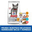 7 kg Hill's Science Plan Sterilised Kitten Pollo pienso para gatos, , large indicador imagen numero 6