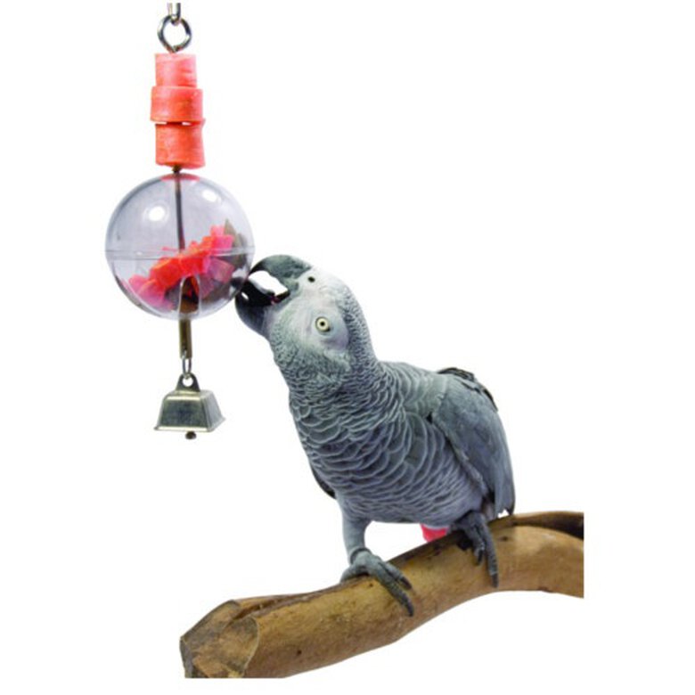 accesorios_pajaros_Sunparrots_juguete_con_pelota_para_loros_KINP611_M Imagen numero 1 Sunparrots juguete con pelota para loros Imagen numero 1