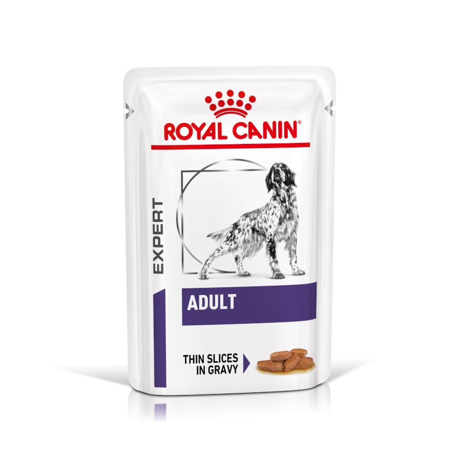 12 sobres x 85 g Royal Canin Expert Adult L&aacute;minas en Salsa sobre para perros, , large Imagen numero 1