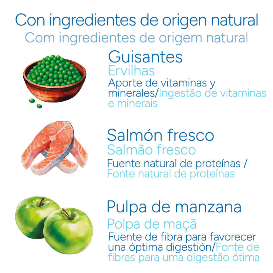 Criadores Cient&iacute;fico Senior Sensitive Mini Pienso Salm&oacute;n para perros, , large Imagen numero 5