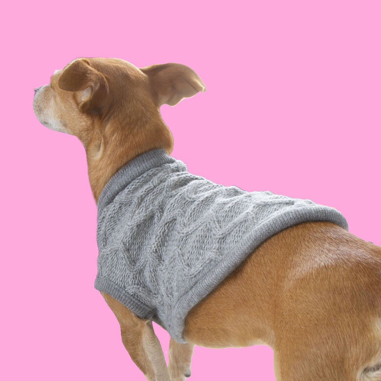 Outech Rombos Jersey de Punto Gris para perros thumbnail
