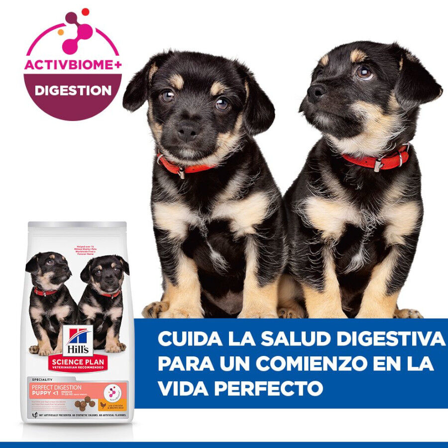 Hill&#039;s Science Plan Perfect Digestion Puppy Pollo pienso thumbnail
