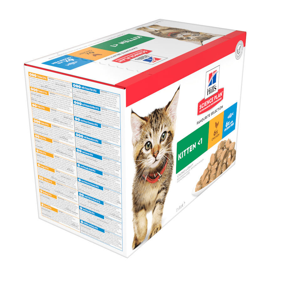 12 sobres x 85 g Hill's Science Plan Kitten Pollo y Pescado sobre para gatos , , large Imagen numero 3