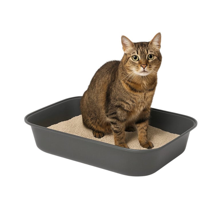 TK Pet Bandeja Sanitaria Básica para gatos,  Imagen numero 1 TK Pet Bandeja Sanitaria Básica para gatos, , large Imagen numero 1