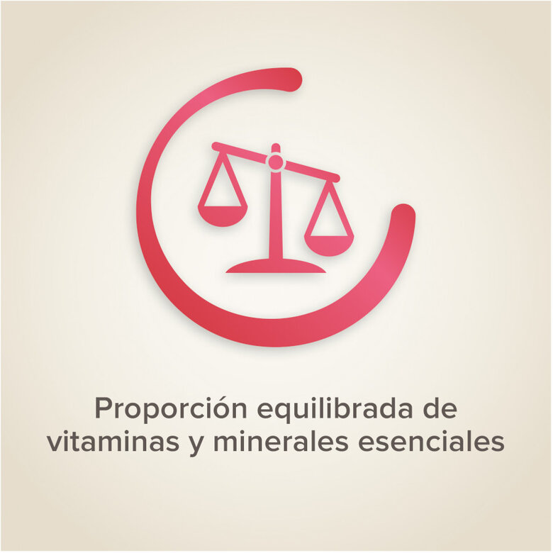 Beaphar Semillas de frutas para pájaros,  Imagen numero 4 Beaphar Semillas de frutas para pájaros, , large Imagen numero 4