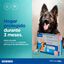Effipro Duo pipetas antiparásitos para perros, , large indicador imagen numero 6