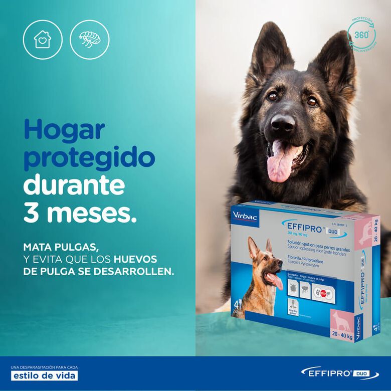 Effipro Duo pipetas antiparásitos para perros thumbnail