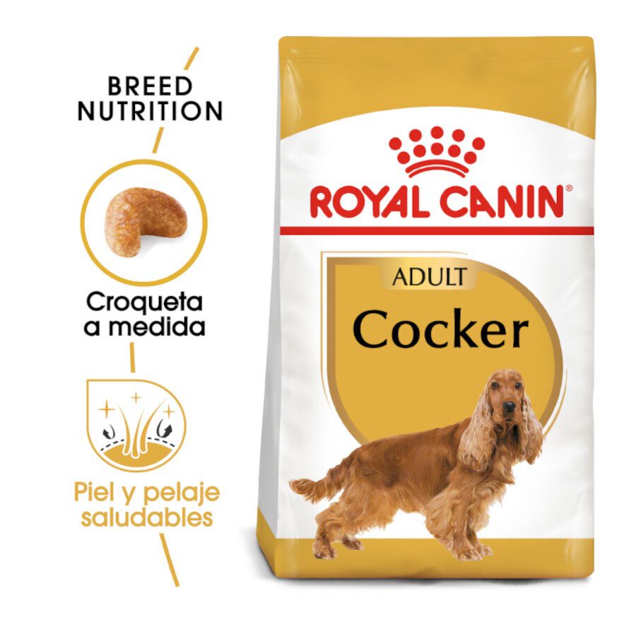 Royal Canin Adult Cocker pienso para perros thumbnail