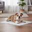 Nice Care Empapadores Blanco para perros, , large indicador imagen numero 1