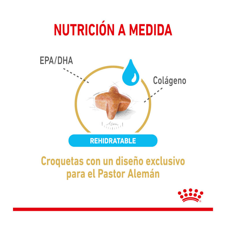 Royal Canin Adult 5+ Pastor Alemán pienso para perros, , large image number null