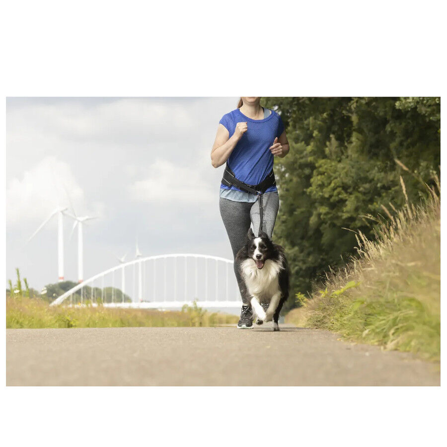 Flamingo Correa Canicross negra para perros, , large Imagen numero 3