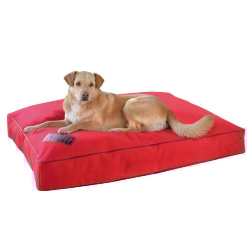 Kong Colch n Rojo Desenfundable e Impermeable para perros Kiwoko