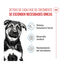 15 kg Royal Canin Puppy Maxi pienso para perros, , large indicador imagen numero 3