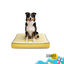 Summer Vibes Cama Coj&iacute;n Amarillo y Blanco para perros, , large indicador imagen numero 7