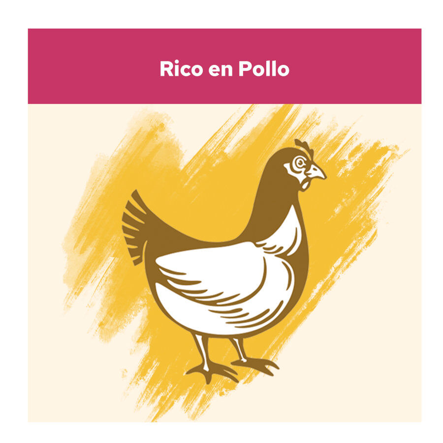 Cat Chow Urinary Tract Health Pollo Pienso thumbnail