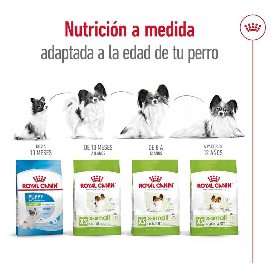 1.5 kg Royal Canin X-Small 8+ Mature pienso para perros, , large Imagen numero 10