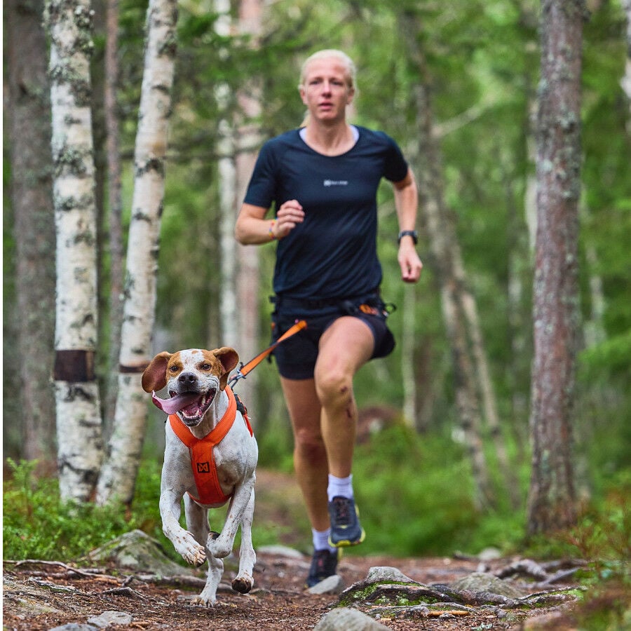Non-stop dogwear Freemotion Arnés Negro y Naranja para perros thumbnail