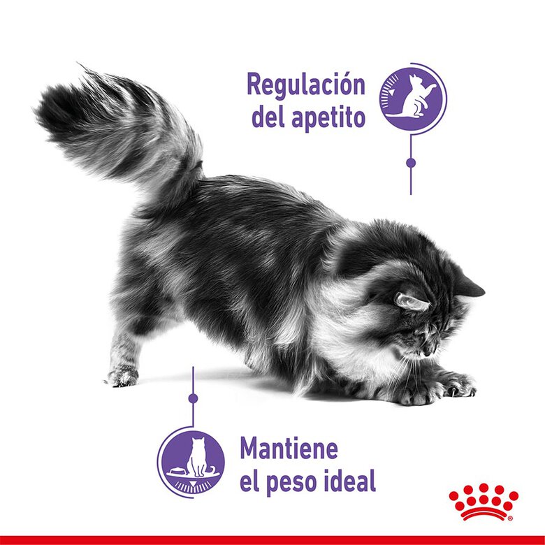 Royal Canin Feline Sterilised Appetite Control image number null