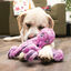 Kong SoftSeas Pulpo de peluche para perros, , large indicador imagen numero 2