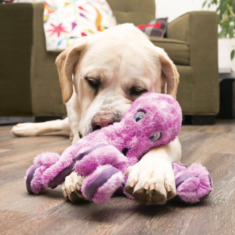 Kong SoftSeas Pulpo de peluche para perros thumbnail