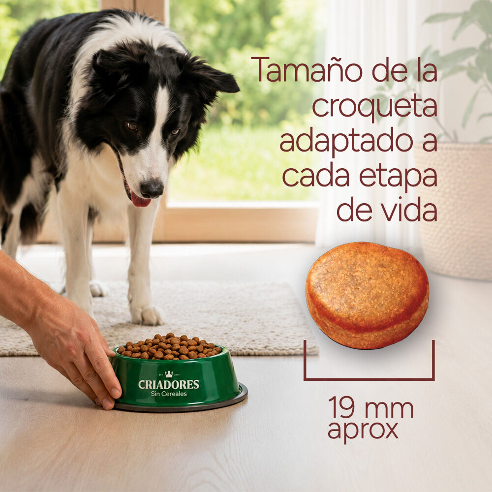 12 kg Criadores Adulto Grain Free Pavo pienso para perros de raza mediana y grande, , large Imagen numero 8