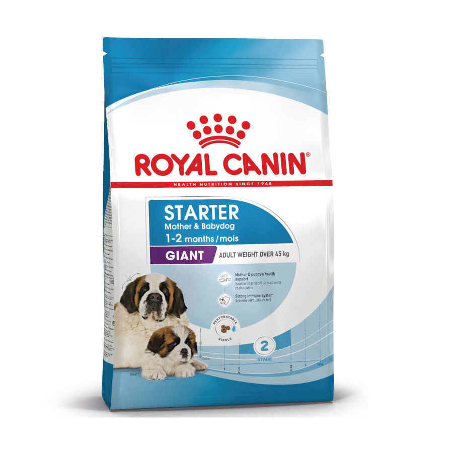 Royal Canin Starter Puppy Giant Pienso para perros