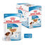 12 sobres x 85 g Royal Canin Mini Puppy sobre en salsa &iexcl;Pack ahorro!, , large indicador imagen numero 1
