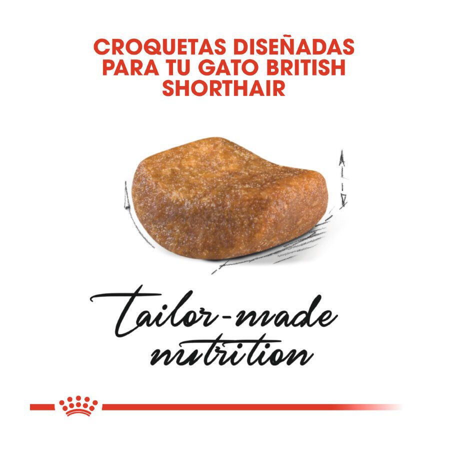 Royal Canin Adult British Shorthair pienso para gatos thumbnail
