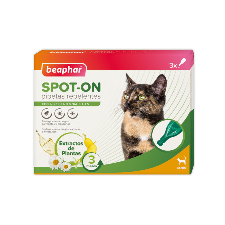 Beaphar Pipetas repelentes para gatos,  Imagen numero 1 Beaphar Pipetas repelentes para gatos, , large Imagen numero 1