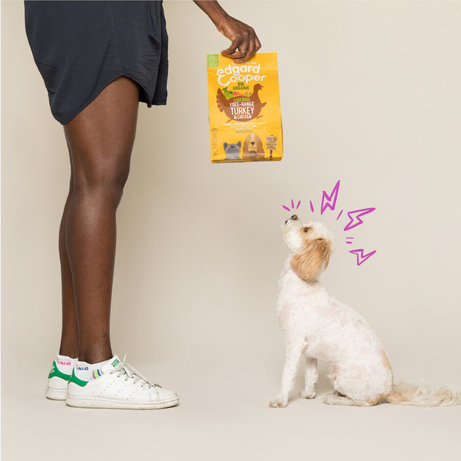 Edgard &amp; Cooper Adult Bio Pavo pienso para perros thumbnail