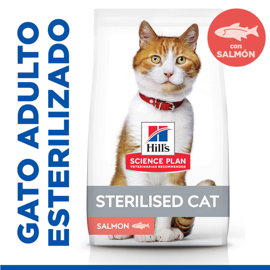 Hill&#039;s Science Plan Sterilised Adult Salmón pienso para gatos thumbnail