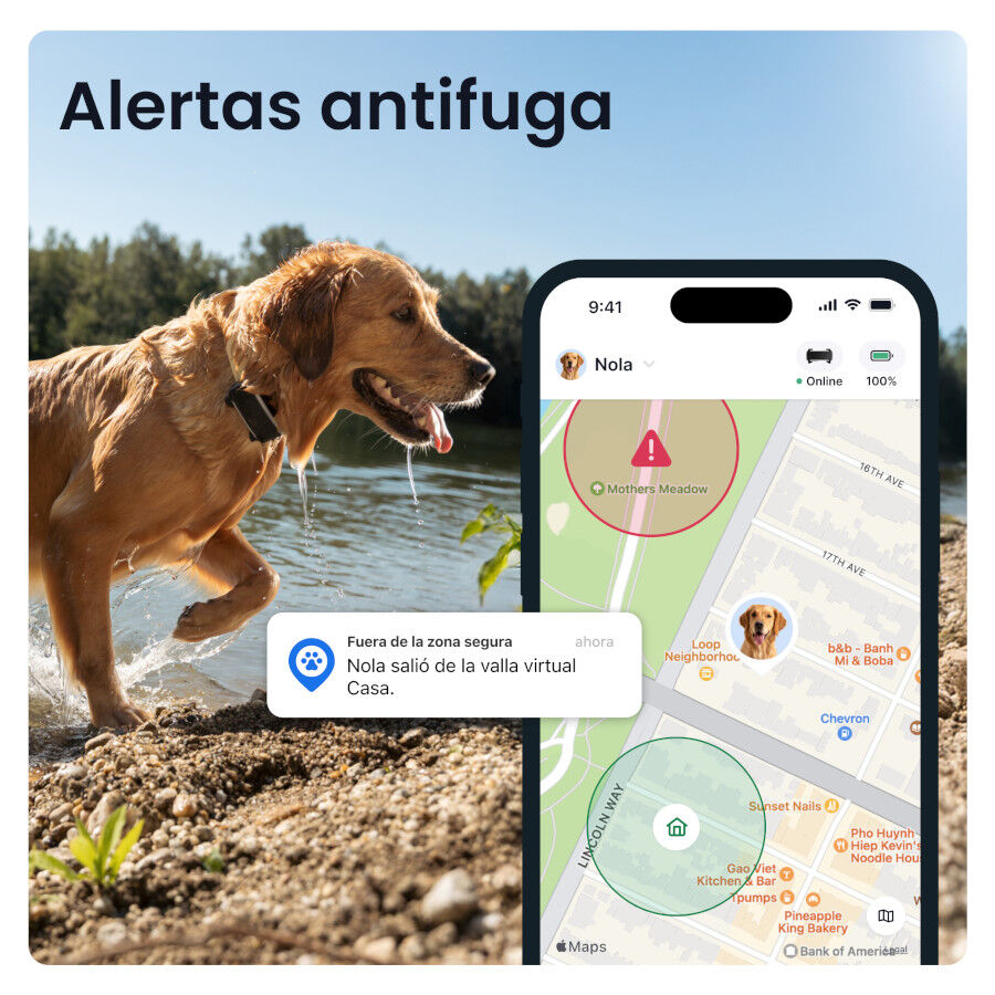 Tractive Dog 6 XL Negro GPS para perros, , large Imagen numero 3